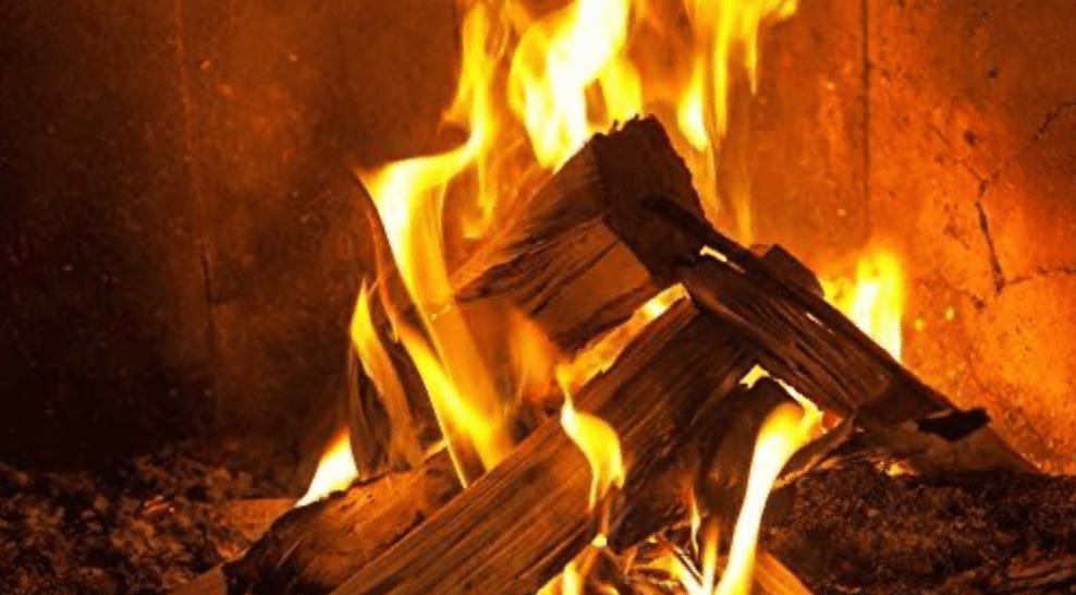Ash Logs 20kg Box - Ready Set SuppliedAsh Logs 20kg Box